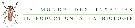 Le monde des insectes, une introduction � leur biologie